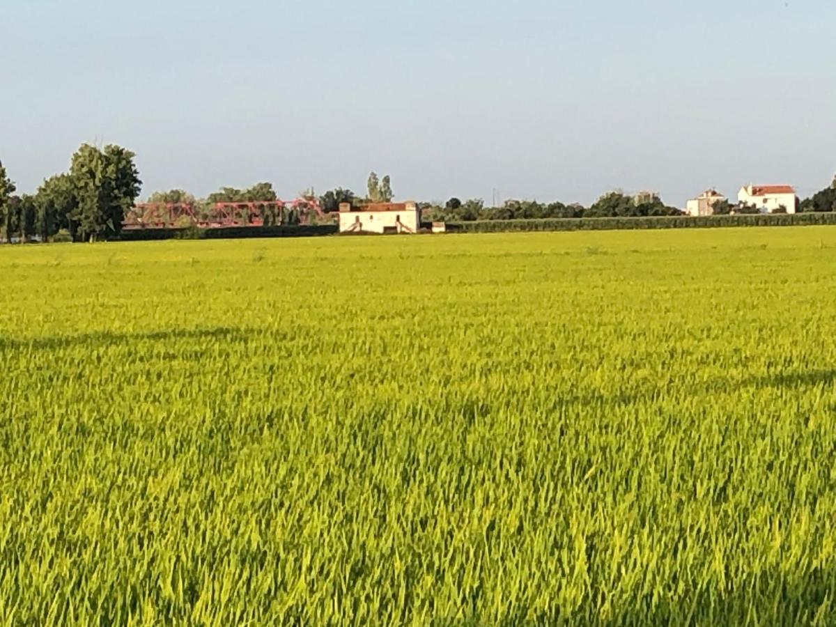 Patio Da Villa - Coruche Boutique Guest House 外观 照片
