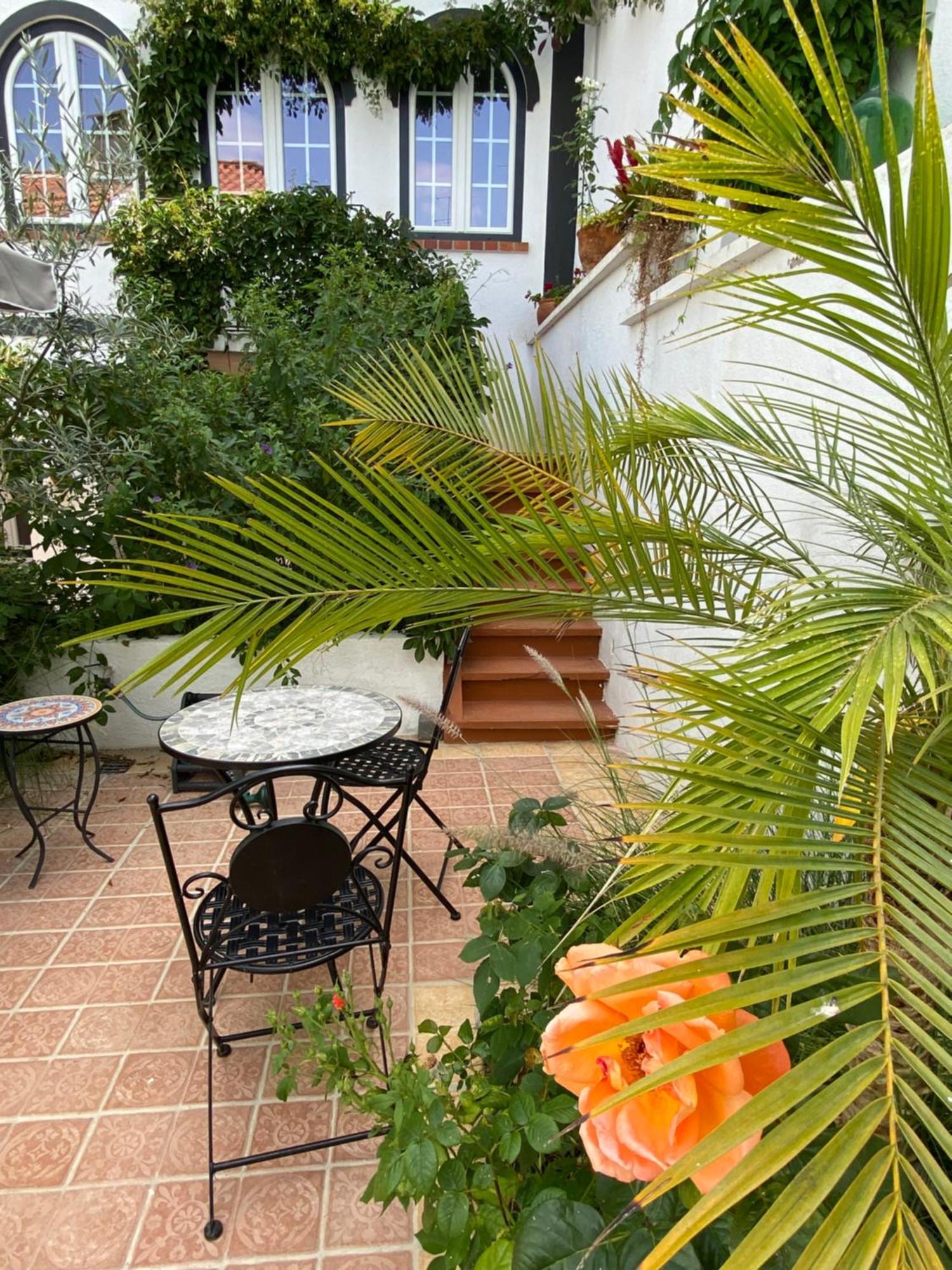 Patio Da Villa - Coruche Boutique Guest House 外观 照片